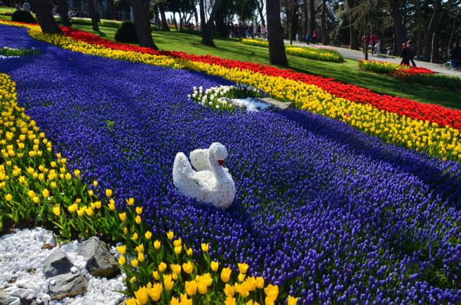 Turkey_Istanbul_park_flowers_3