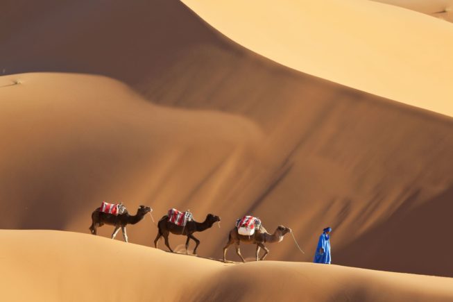 Marocco-camels-gates-banner_2