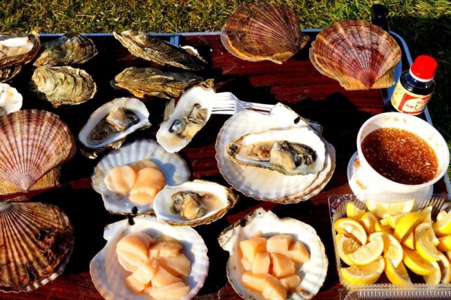 Russia-Sakhalin-Busse-Laguna-Oysters (1)