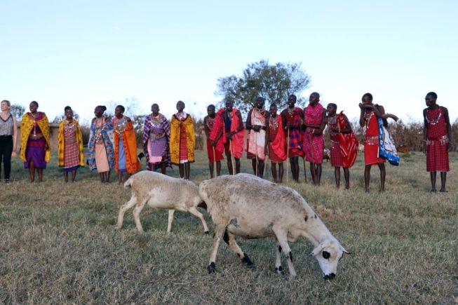 Знакомимся с обычаями масаев в Масаи Мара