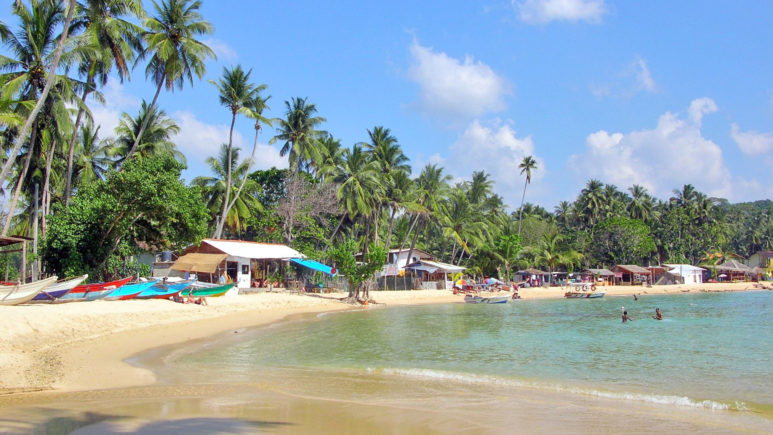 Пляжная Шри-Ланка или Мальдивы по желанию