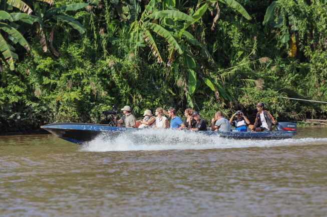 Сквозь джунгли и мангровые леса поймы реки Кинабатанган