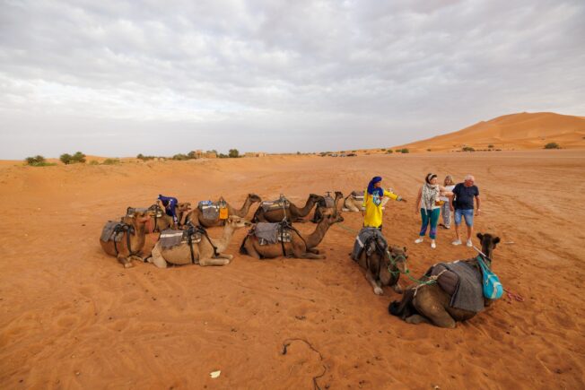 Катаемся по пустыне на верблюдах