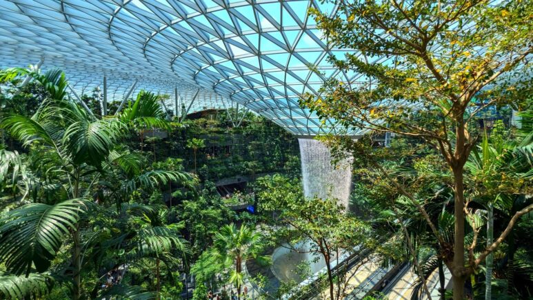 Сингапурский футуризм и эко-дизайн
