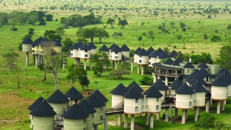 Наблюдаем за водопоем из окна Salt Lick Safari Lodge 4*